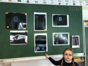 B.E.L. Privatschule