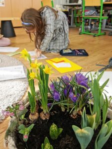 B.E.L. Privatschule