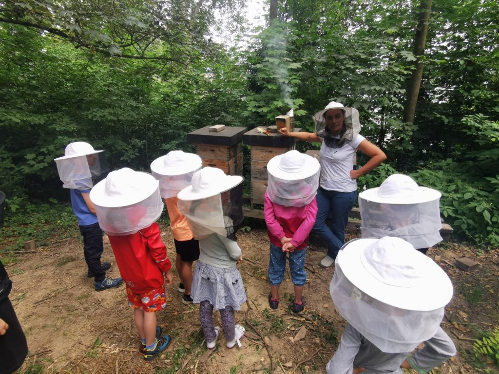 B.E.L. Privatschule - Projekt Bienen