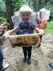 B.E.L. Privatschule - Projekt Bienen