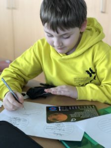B.E.L. Privatschule